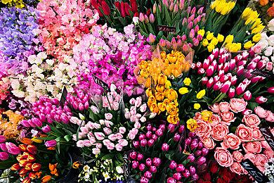 Steam试玩Demo商店改版：拥有独立页面、评价和愿望单