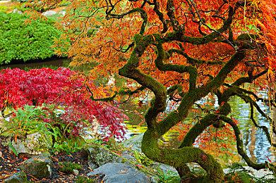 打工人解压必备 《桌面小镇》Demo现已上线！