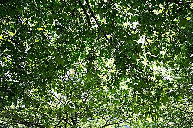 《第一狂战士：卡赞》新预告 激情大战美女Boss